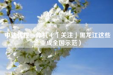 中达优控一体机(「关注」黑龙江这些企业成全国示范)