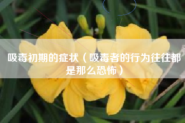 吸毒初期的症状(吸毒者的行为往往都是那么恐怖)