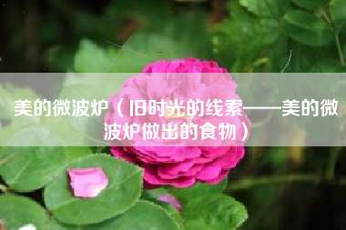 美的微波炉（旧时光的线索——美的微波炉做出的食物）