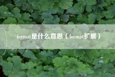 format是什么意思（format扩展）