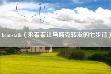 beanstalk(来看看让马斯克转发的七步诗)
