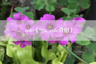 redis（一、redis介绍）