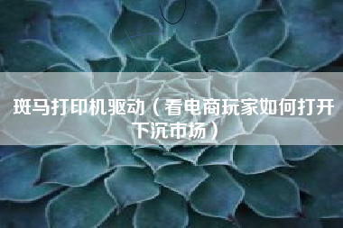斑马打印机驱动（看电商玩家如何打开下沉市场）