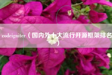 codeigniter（国内外十大流行开源框架排名）