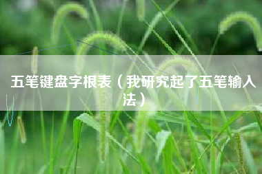 五笔键盘字根表（我研究起了五笔输入法）