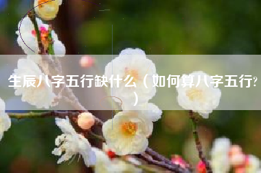 生辰八字五行缺什么（如何算八字五行?）