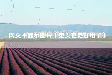 详细阅读:网页不显示图片(更美也更好用了) 网页不显示图片(更美也更好用了)
