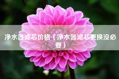 净水器滤芯价格（净水器滤芯更换没必要）