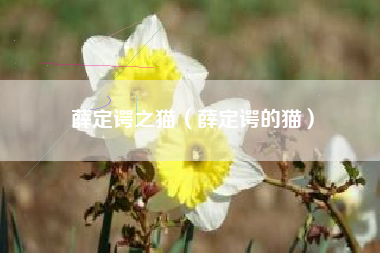 薛定谔之猫（薛定谔的猫）