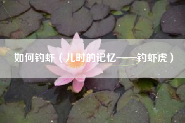 如何钓虾（儿时的记忆——钓虾虎）