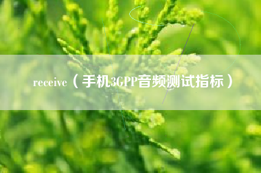 receive（手机3GPP音频测试指标）