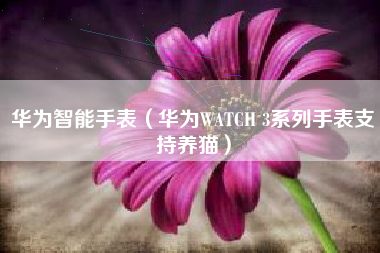 华为智能手表（华为WATCH 3系列手表支持养猫）