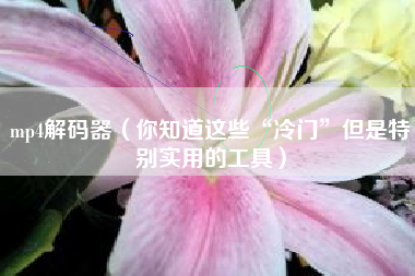 mp4解码器（你知道这些“冷门”但是特别实用的工具）
