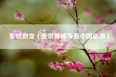 东欧剧变（全世界都等着中国崩溃）