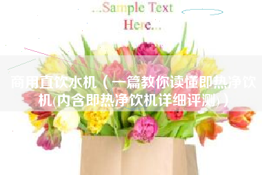 商用直饮水机（一篇教你读懂即热净饮机(内含即热净饮机详细评测)）