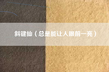 斜键仙(总是能让人眼前一亮)