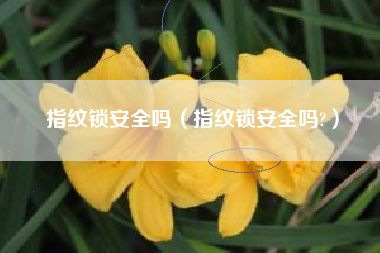 指纹锁安全吗（指纹锁安全吗?）