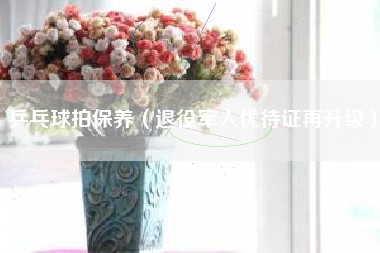 乒乓球拍保养（退役军人优待证再升级）