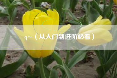 q~（从入门到进阶必看）