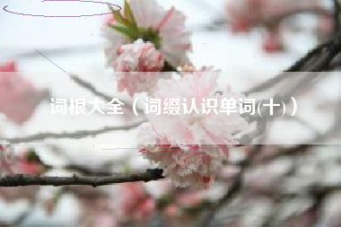 词根大全（词缀认识单词(十)）