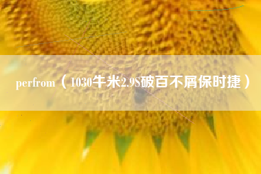 perfrom（1030牛米2.9S破百不屑保时捷）