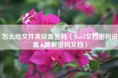 怎么给文件夹设置密码（Word文档密码设置+破解密码文档）