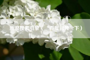 新浪搜索引擎(“百度已死”下)