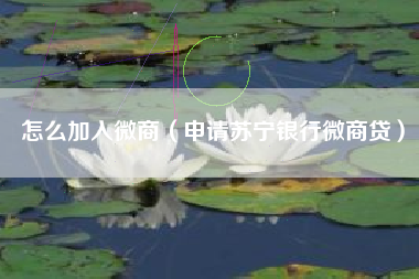 怎么加入微商（申请苏宁银行微商贷）