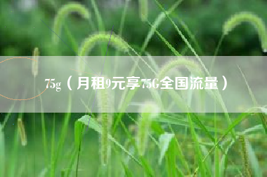 75g(月租9元享75G全国流量)