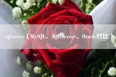 sqlserver（MySQL、SQL Server、Oracle对比）