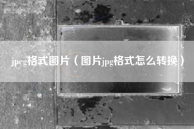 jpeg格式图片（图片jpg格式怎么转换）