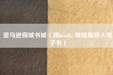 亚马逊商城书城（用Kindle 咪咕版导入电子书）