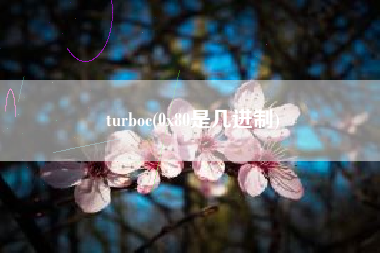 详细阅读:turboc(0x80是几进制) turboc(0x80是几进制)
