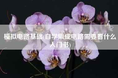 模拟电路基础(自学集成电路需要看什么入门书)