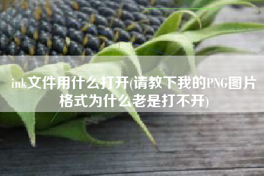 ink文件用什么打开(请教下我的PNG图片格式为什么老是打不开)