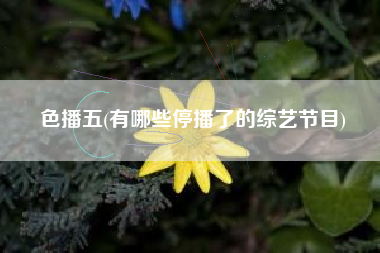 色播五(有哪些停播了的综艺节目)