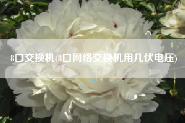 8口交换机(8口网络交换机用几伏电压)