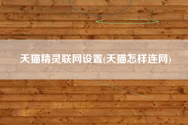 天猫精灵联网设置(天猫怎样连网)