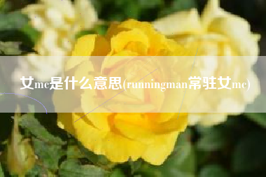 女mc是什么意思(runningman常驻女mc)