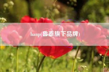 hanp(鲁泰旗下品牌)