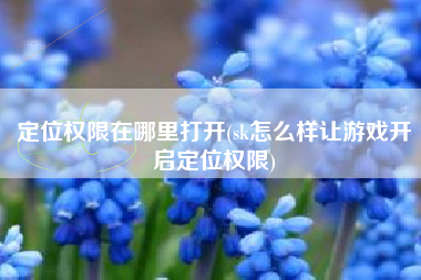 定位权限在哪里打开(sk怎么样让游戏开启定位权限)