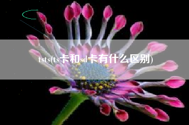 tsts(ts卡和sd卡有什么区别)