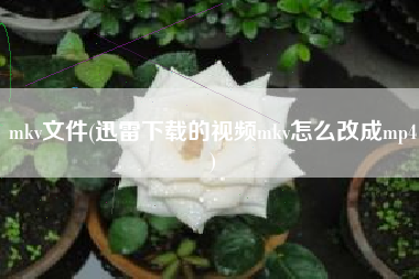 mkv文件(迅雷下载的视频mkv怎么改成mp4)