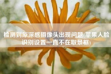 检测到原深感摄像头出现问题(苹果人脸识别设置一直不在取景框)