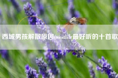 西城男孩解散原因(westlife最好听的十首歌)