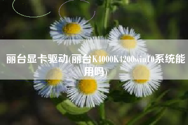 丽台显卡驱动(丽台K4000K4200win10系统能用吗)