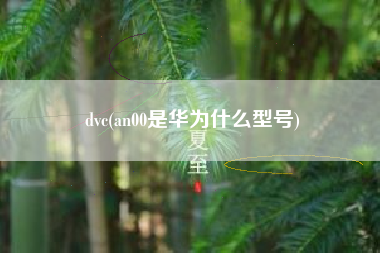 dvc(an00是华为什么型号)