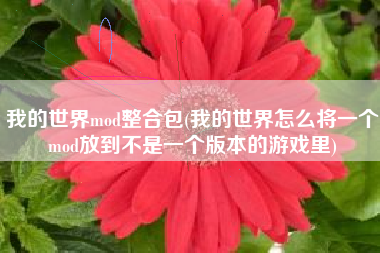 我的世界mod整合包(我的世界怎么将一个mod放到不是一个版本的游戏里)