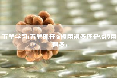 五笔学习(五笔现在86板用得多还是98板用得多)