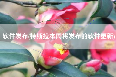 软件发布(特斯拉本周将发布的软件更新)
